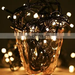 10m Waterproof 100 LED String Decorative Lights With End Joint & Controller, Flashing / Fading / Chasing Effect, EU Plug, AC 220 thumbnail-1