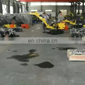 Mini Excavator Used Trailer China thumbnail-1
