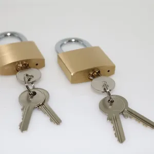 Good Quality Reliable Anti Theft Solid Brass Body Hardened Shackle 40mm Thin Type Brass Padlock thumbnail-3