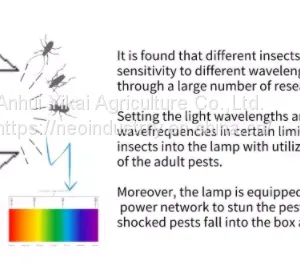 Sustainable Product Solar Insect Trap and Insect Light With Trap for Greenhouse thumbnail-3