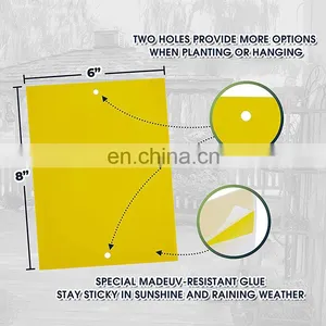 Yellow PP Board Sticky Insect Glue Traps thumbnail-4