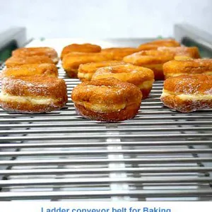 Ladder Conveyor Belts thumbnail-4