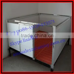 Piggery Equipment for Piglets Raising thumbnail-1