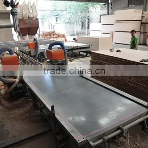 Plywood Saw Machine,DD Saw Machine,DD Saw thumbnail-5