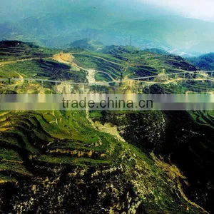 Big Thermal Power Plant Long Distance Bulk Material Handling System Pipe Conveyor thumbnail-1