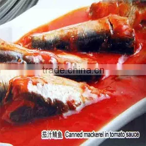Canned Mackerel in Tomato Sauce thumbnail-1
