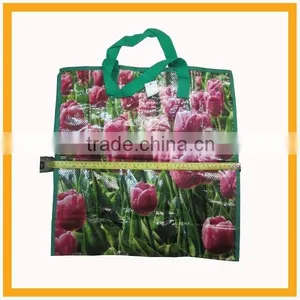Hot Sale Polyester pp Woven Shopping Bag thumbnail-6