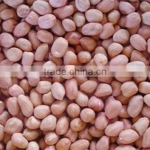 Chinese Blanched Peanut Kernels thumbnail-2
