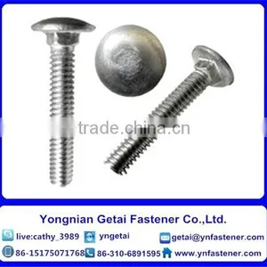Stainless Steel 304 Carriage Bolt Din603 thumbnail-2