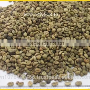 ROBUSTA COFFEE/ROBUSTA COFFEE FROM VIETNAM BEST PRICE SEASON 2016 thumbnail-1