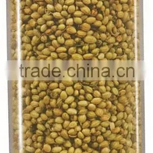 Coriander Seeds thumbnail-1