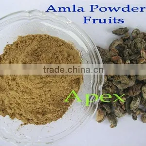 Supplier of Amla Dry Fruit & Amla Powder thumbnail-1