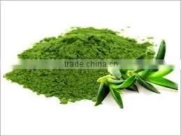 Ghritkumari Powder Indian Herbs Pure Natural thumbnail-2