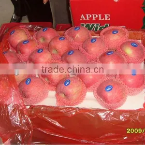 Fresh Fuji Apple for Export thumbnail-1