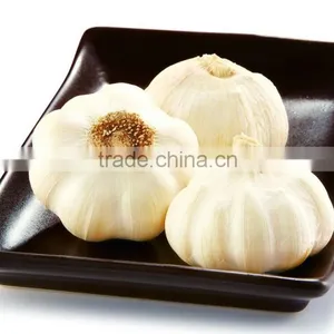 ISO Global GAP HACCP KOSHER JAS Certification Fresh Garlic thumbnail-1