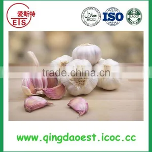 Good Quality and Best Price Hot Sale Fresh Pure White Garlic thumbnail-6
