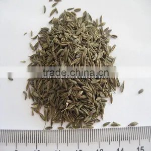Chinese Black Cumin Seeds thumbnail-4