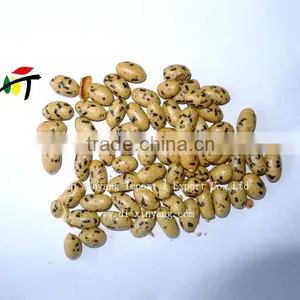 Good Quality- SEAWEED PEANUTS thumbnail-1