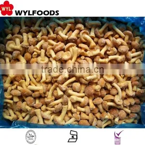 Frozen Nameko Mushroom Price in China thumbnail-5