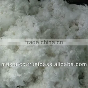 Surgical Cotton thumbnail-1