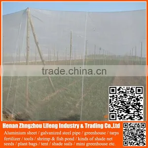 Top Product pe Greenhouse Anti Insect Proof Net , Plastic Vegetable Anti Insect Net , Nylon Agricultural Anti Insect Net thumbnail-6