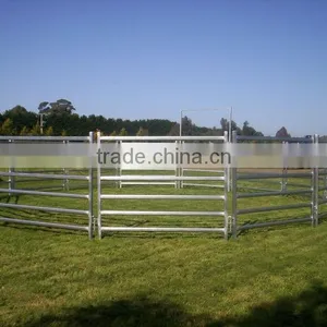 Temporary Horse Fence Panel / Cows Panel,Direct Manufacturer,ISO9001:2008,2015 Hot Sale thumbnail-3