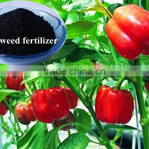 Fermented Seaweed Extract,alginic Acid Soluble Fertilizer,organic Biological Fertilizer thumbnail-2