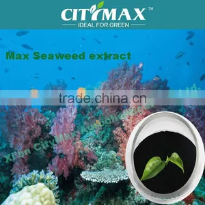 Sargassum Extract thumbnail-1