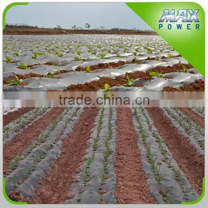Biodegradable Agricultural Black Ground Cover thumbnail-1