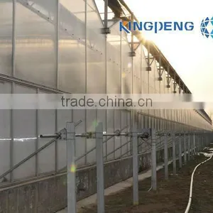 Venlo Agricultural Polycarbonate Sheet Greenhouse thumbnail-1
