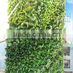 Hot Sale Eco-friendly PE Indoor Artificial Green Wall for Landscaping Decoration thumbnail-1