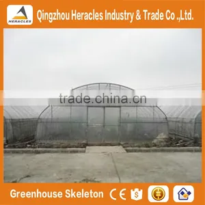 Heracles Trade Assurance Vegetable Seeds Greenhouse thumbnail-6