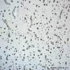 Sell Mineral Fiber Ceiling Board thumbnail-1