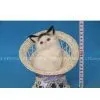 Basket Cat, Basket Pets, Basket Cat Suppliers thumbnail-1
