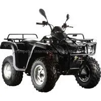 300cc 4x4wd Quad Bike With EPA/EEC thumbnail-1