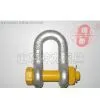 SLR-363 G2150 DEE SHACKLE WITH BOLT thumbnail-1