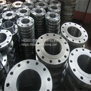 Pipe Flange For Power Plant Metal Flange thumbnail-3