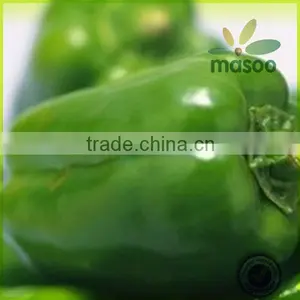 Fresh Green Sweet Cayenne Pepper Export Price thumbnail-1