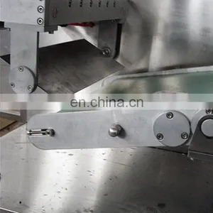 DLL-160 Automatic Alu Alu Tablet Strip Packing Machine thumbnail-4