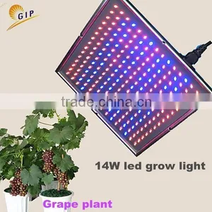 Decorative Plants Led Grow Light for Flower Boost and Seed Sprout Greenhouse Light thumbnail-1