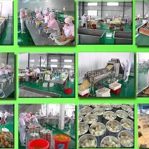 Sweet Canned Corn Steam and Electric Heating Canned Vegetable Production Line thumbnail-4
