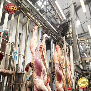 Automatic Cattle Slaughter Machine Beef Slaughterhouse Equipment Complete Abattoir Slaughtering Line Manufacturer thumbnail-4