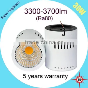 New Design 30w Surface Mounted LED Downlight thumbnail-2