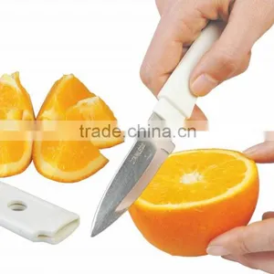 S/S+PP 18.5*2.7*1 Kitchen Tools Cutting Knife/stainless Steel Fruit Knife/kitchen Knife/stainless Steel Knife thumbnail-1