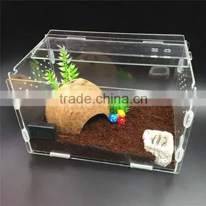 Fashion Acrylic House With Pet thumbnail-1
