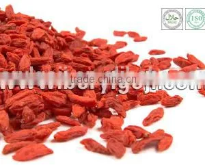 2014's Crop Low Pesticide Gojiberry in Good Quality and Price thumbnail-2