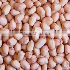 Groundnut 2014new Crop thumbnail-2