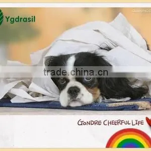 Toilet Paper Parent Jumbo Roll thumbnail-4