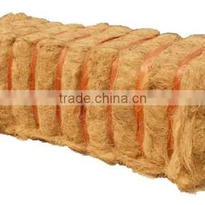 Coconut Fiber thumbnail-1