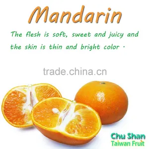 Grade A Fresh Mandarin Orange Citrus Fruit thumbnail-1